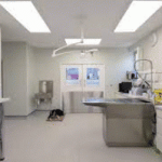 Medical or Pet Services Facility for Lease – North Shore Long Island – $35.00/SF NNN